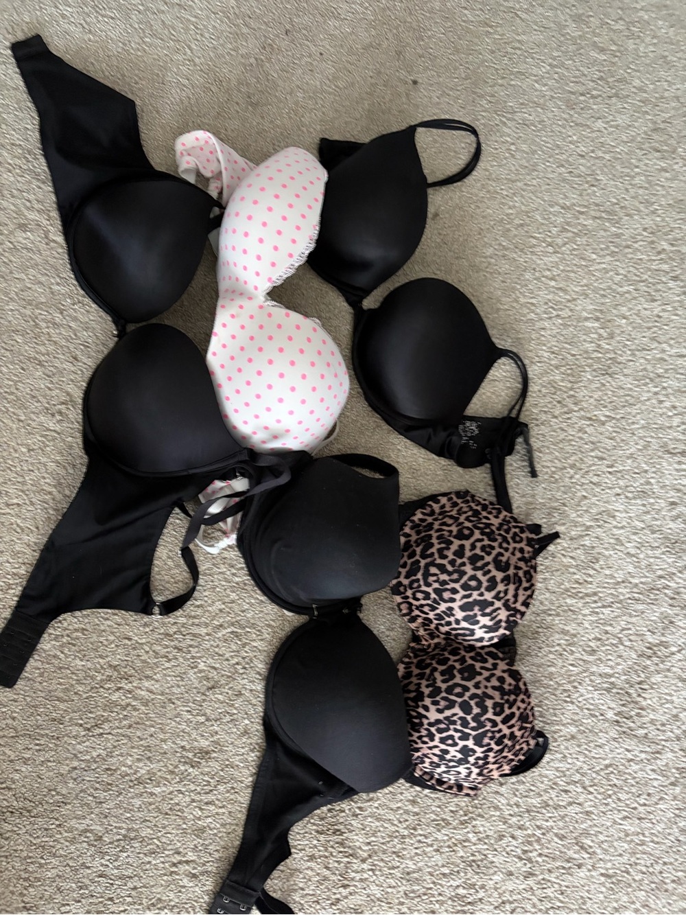 Women's Black & Leopard Push-Up Bra Pack